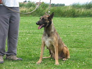 Ciska van de Duvetorre Ciska van de Duvetorre