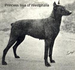 Princess Ilisa of Westphalia Princess Ilisa of Westphalia