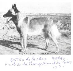 Ostéo de la Croix Barbe Ostéo de la Croix Barbe