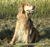 Cleo von der Leimbachmühle Cleo von der Leimbachmühle