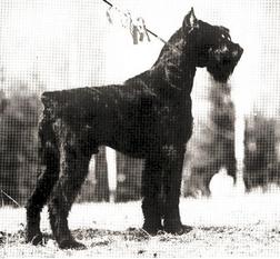 Erko von der Friedrichsburg Erko von der Friedrichsburg