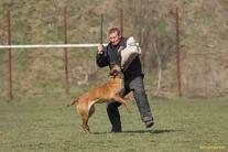 Alpi COR A 107-06/015 (Sava)