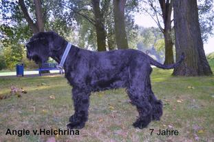 Angie von Heichrina Angie von Heichrina