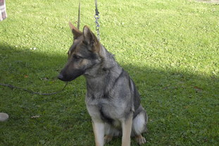 Kleo von Wolvindorph Kleo von Wolvindorph
