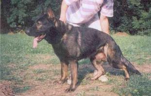 Ex Hronovsky pramen CS Ex Hronovsky pramen CS