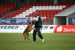 Daneskjold Buddy Daneskjold Buddy