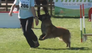 Billie von den Donauweibchen Billie von den Donauweibchen