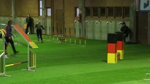 Easy vom Kaunitzer Land Easy vom Kaunitzer Land