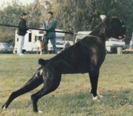 Duschka von Santana Duschka von Santana