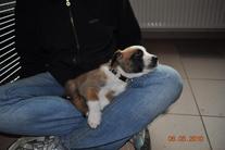 5. Woche