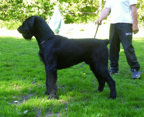 Jimmy von der Schönburg Jimmy von der Schönburg