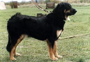 Bonny von Ascona Bonny von Ascona