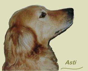 Asti vom Völkerschlachtdenkmal Asti vom Völkerschlachtdenkmal
