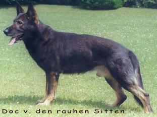 Doc von den rauhen Sitten Doc von den rauhen Sitten