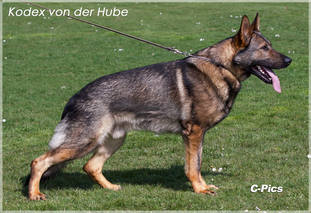 Kodex von der Hube Kodex von der Hube