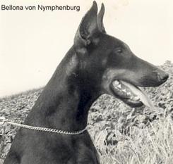 Bellona von Nymphenburg Bellona von Nymphenburg