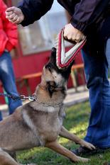 Bacelona vom Wolfsschlössl Bacelona vom Wolfsschlössl