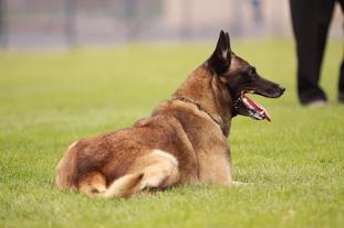 Axle von Koewitz Axle von Koewitz