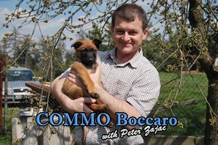 Commo Boccaro Commo Boccaro
