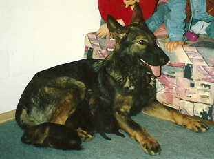 Anka von der Grundschnelligkeit Anka von der Grundschnelligkeit