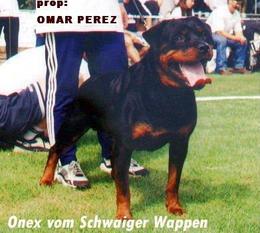 Onex vom Schwaiger Wappen Onex vom Schwaiger Wappen