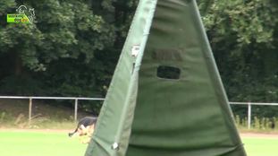 Uno vom Langemark Uno vom Langemark