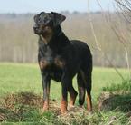 Vanille du Murier de Sordeille