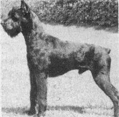 Anton vom Gillbachland Anton vom Gillbachland