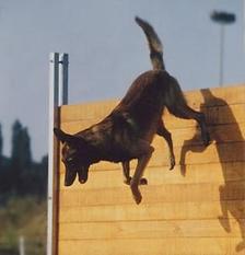 Est des Loups Mutins Est des Loups Mutins