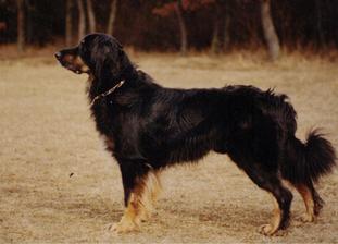 Asko von der Gutenbergstadt Asko von der Gutenbergstadt