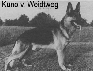 Kuno vom Weidtweg Kuno vom Weidtweg