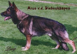 Aron von den Diebeskämpen Aron von den Diebeskämpen