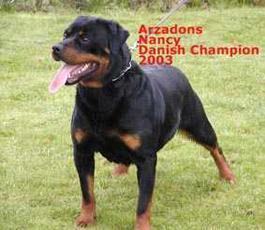 Arzadons Nancy Arzadons Nancy