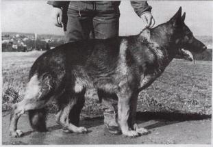 Grando aus der Lechrainstadt Grando aus der Lechrainstadt