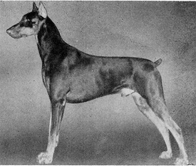 Gaylord of Westphalia Gaylord of Westphalia