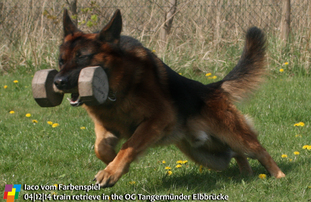 Iaco vom Farbenspiel Iaco vom Farbenspiel