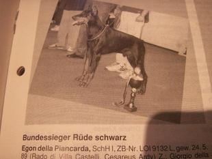 Egon della Piancarda Egon della Piancarda