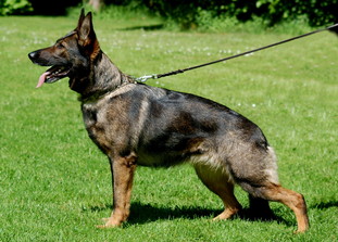 Gianna von Gut Korten Gianna von Gut Korten