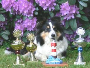 Agility Jumper Angelique Agility Jumper Angelique