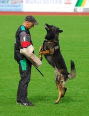 Chuck vom Rottalblick Chuck vom Rottalblick