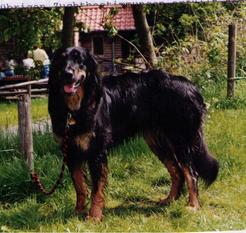 Olga vom Schondratal Olga vom Schondratal