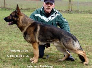 Kalle vom Reichberg Kalle vom Reichberg
