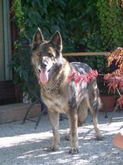 Maxi von Karthago Maxi von Karthago