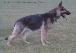 Bona vom bösen Bruderblick Bona vom bösen Bruderblick
