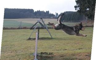 Motte zur Krombach Motte zur Krombach