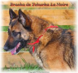 Braska de Tchurka la Noire Braska de Tchurka la Noire