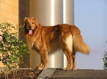 Bild von Arne vom Brambusch