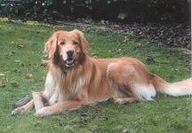 Bild von Arne vom Brambusch