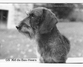 Xid de Bas-Heers Xid de Bas-Heers