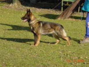 Liesel von Karthago Liesel von Karthago